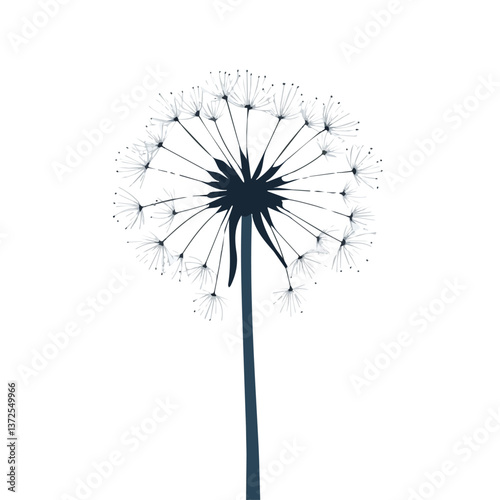 Flat vector dandelion, minimalist design, isolated on a white background.



