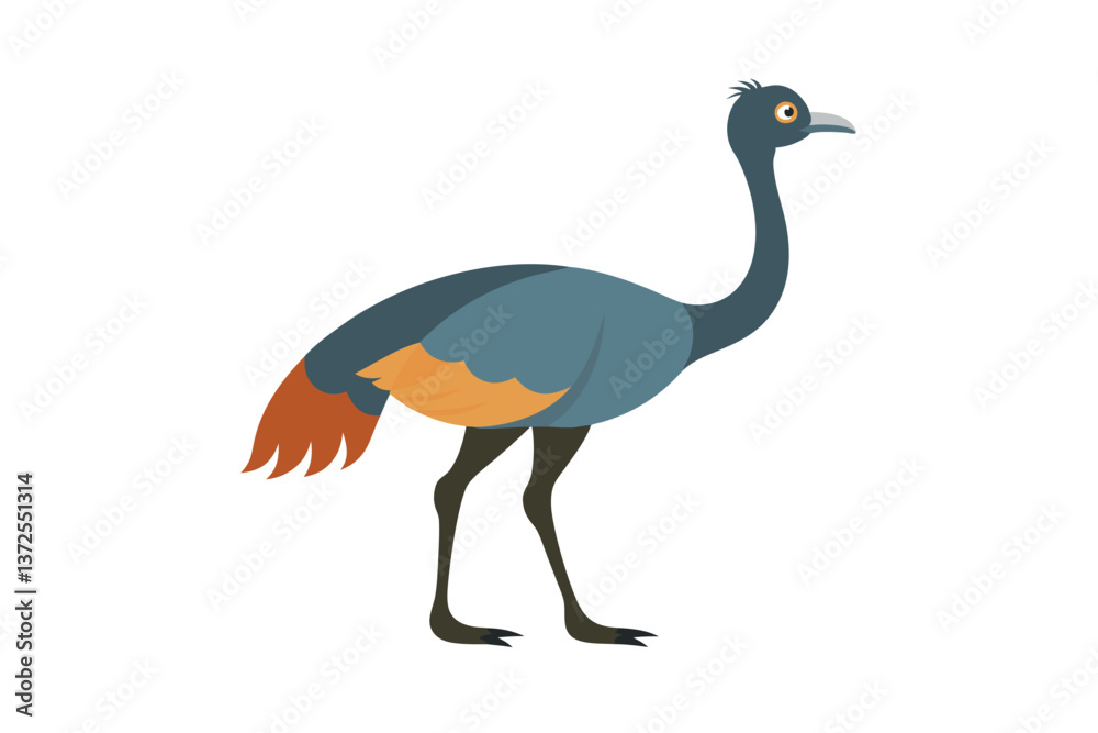 vector illustration of an ostrich vector illustration of an ostrich