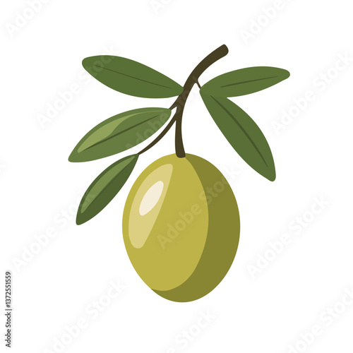Flat vector olive, minimalist design, isolated on a white background.

