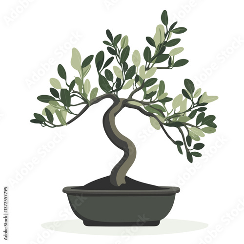 Flat vector olive bonsai, minimalist design, isolated on a white background.

