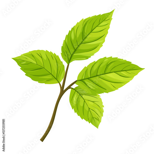 Flat vector slippery elm, minimalist design, isolated on a white background.

