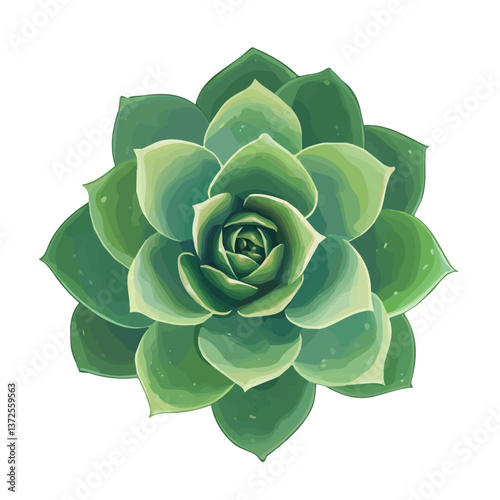 r0nan_em_Succulent_Rosette_flat_vector_simple_minimalist_design_82832010-2639-44f3-a942-12dc2f87e07d_bottom_right