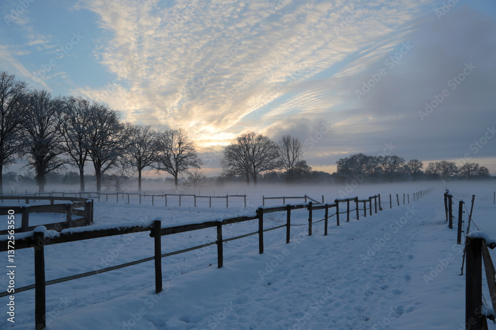 Fototapeta premium Winterwonderland auf einem Pferdehof in Norddeutschland
