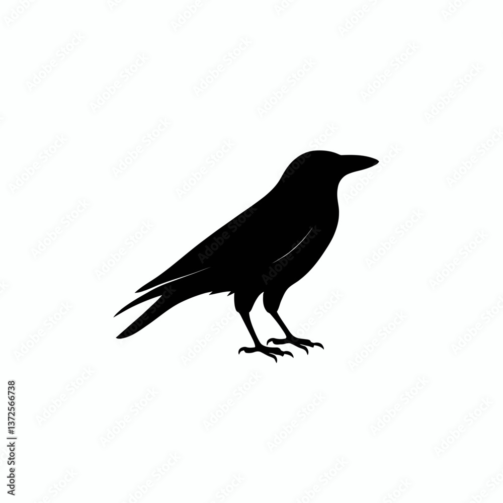 Obraz premium crow on a white background