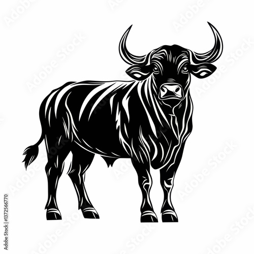 black and white bull