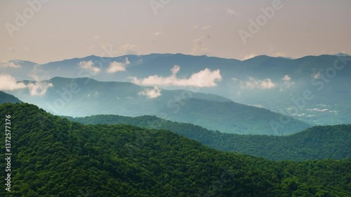 Appalachian mountains. Woods nature in summer wet rainy season. Colorful forest in Tennessee
