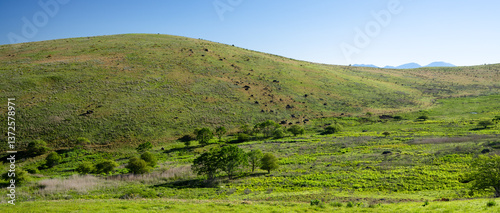 Wallpaper Mural 長野県諏訪市　夏の車山高原 Torontodigital.ca