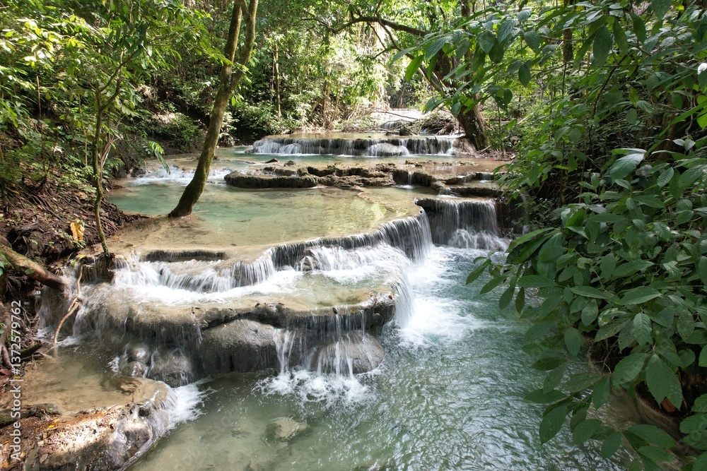 Fototapeta premium waterfall in the forest