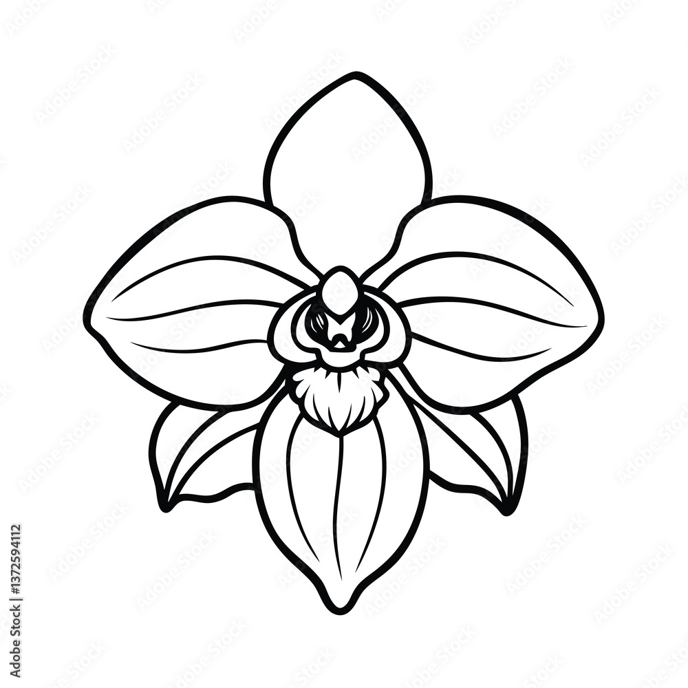 Monochromatic Orchid Flower Line Art Botanical vector art Monochromatic Orchid Flower Line Art Botanical vector art