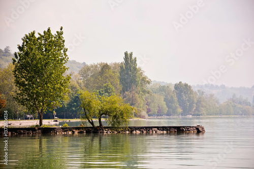 Serene lakeside landscape with lush green trees  
