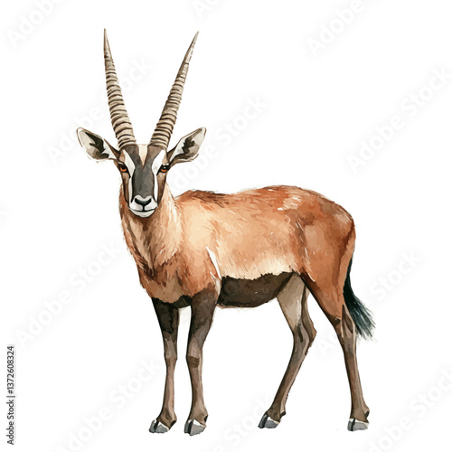 A watercolor vector of a Sable antelope, isolated on a white background. Sable antelope vector.

