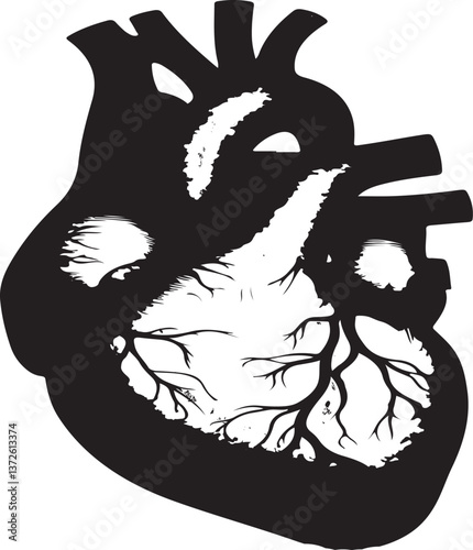 Human heart vector