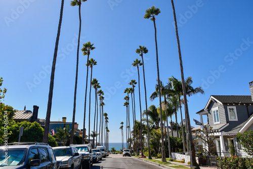 Fototapeta Naklejka Na Ścianę i Meble -  Tall palm trees lining the street heading to the Pacific Ocean in Newport Beach in Orange County, California. 