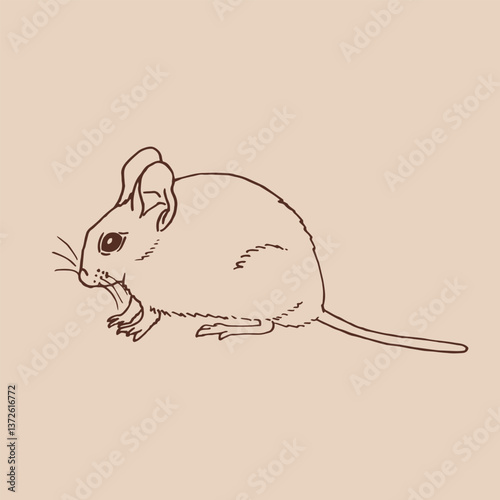 Mouse. Hand drawn vector illustration.
