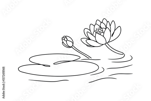 Water Lily Flower Blossom Aquatic Plant Line Art Drawing Sketch