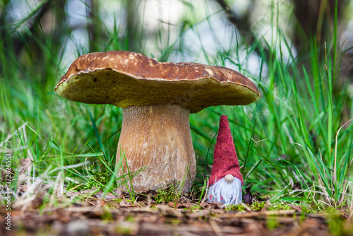 Spielzeugzwerg mit roter Mütze unter inem Steinpilz