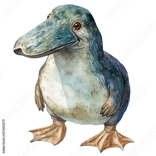 A watercolor vector of a platypus, isolated on a white background. Platypus vector.

