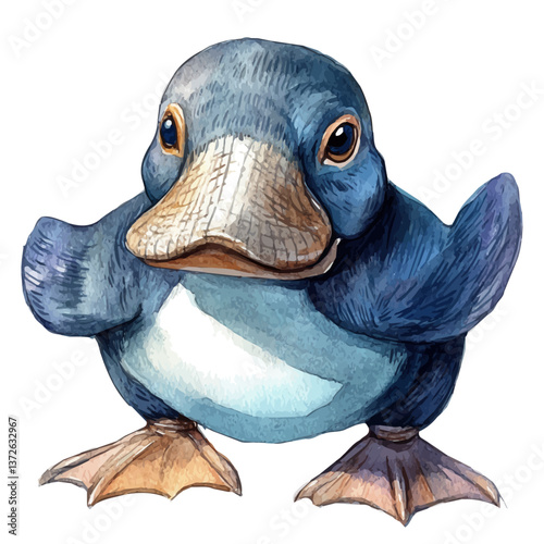 A watercolor vector of a platypus, isolated on a white background. Platypus vector.


