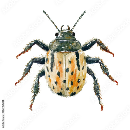 A watercolor vector of a mite, isolated on a white background. Mite vector.

