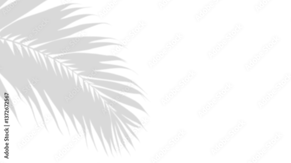 Naklejka premium Palm Leaf Shadow: Capturing the elegance of nature, the stark contrast of the palm leaf shadow against the background creates a simple, modern, and evocative image.