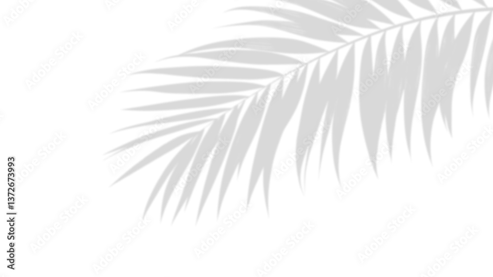 Naklejka premium Shadowy Palm Leaf: A serene silhouette of a palm leaf, gracefully casting its shadow, offers a glimpse of natural elegance and a touch of tropical serenity. 