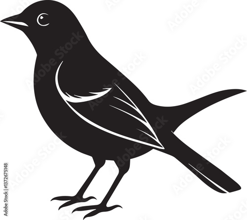 vector illustration of a bird, bird vector isolated on white background full body