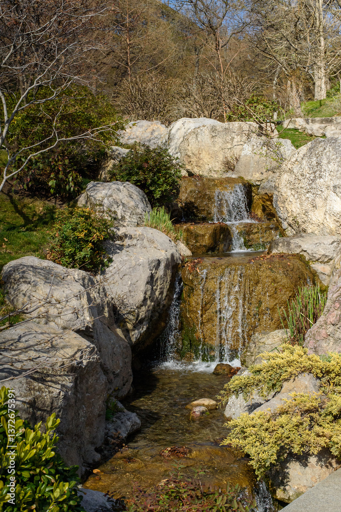 Fototapeta premium waterfall in the forest
