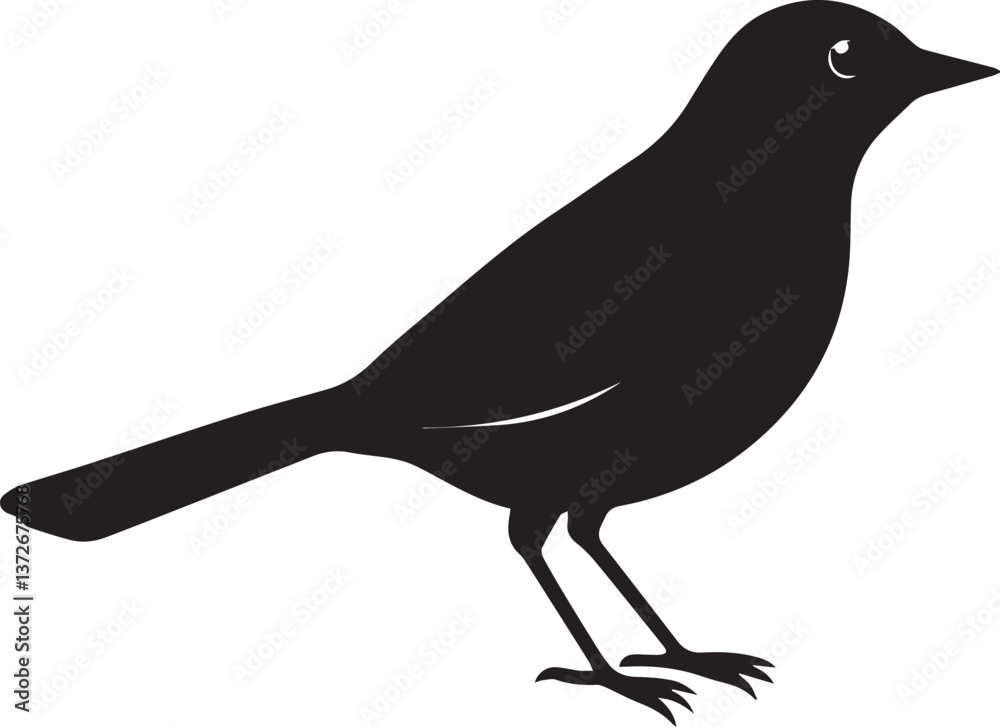 Obraz premium vector illustration of a bird, bird vector isolated on white background full body