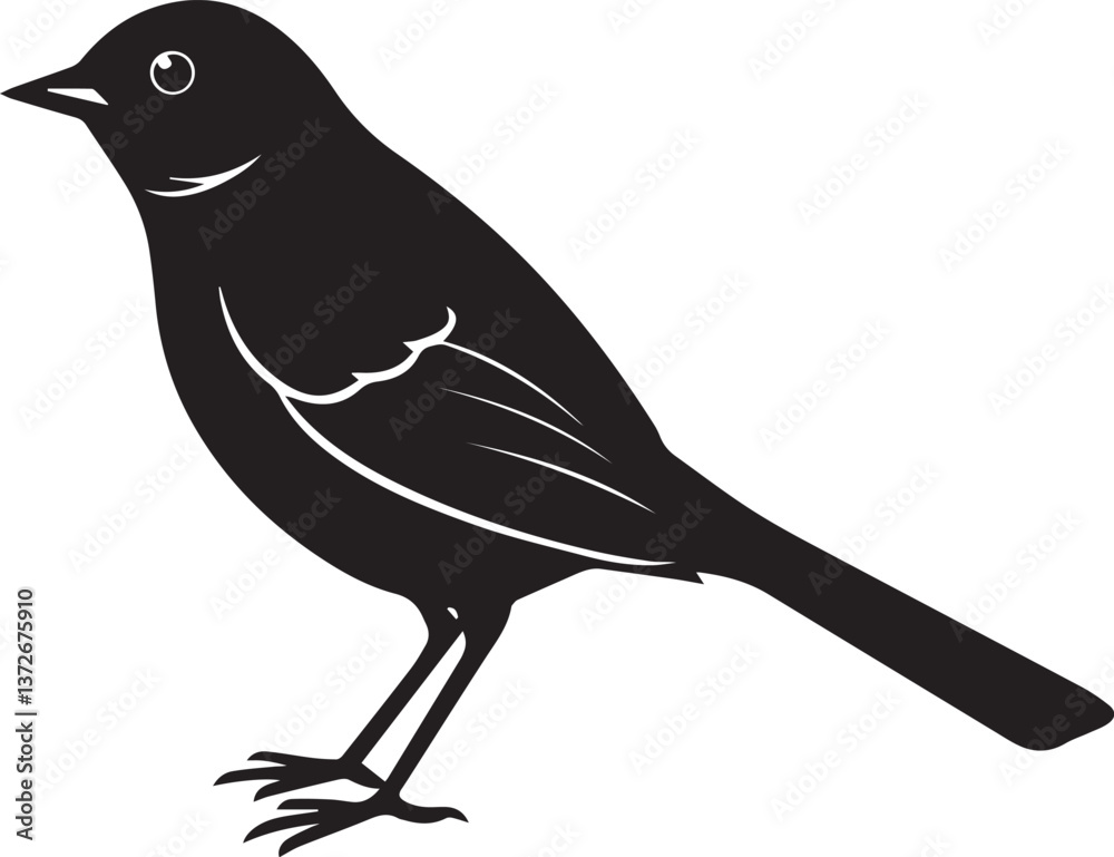 Obraz premium vector illustration of a bird, bird vector isolated on white background full body