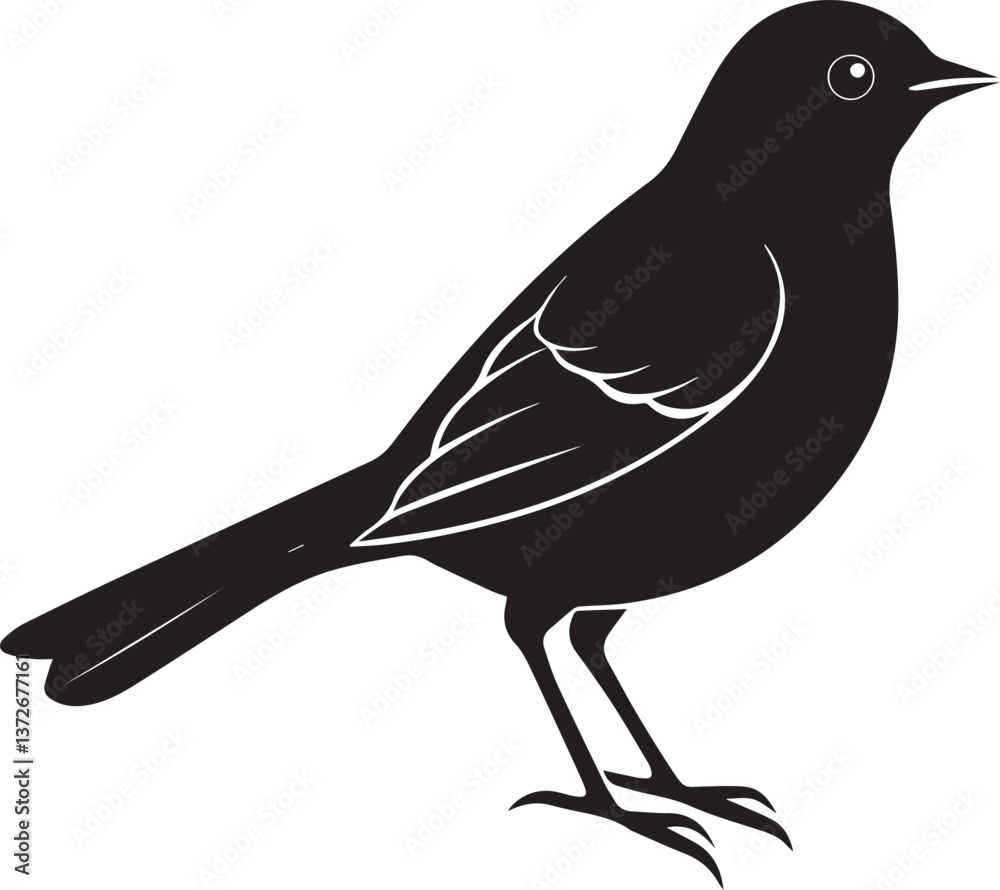 vector illustration of a bird, bird vector isolated on white background full body vector illustration of a bird, bird vector isolated on white background full body