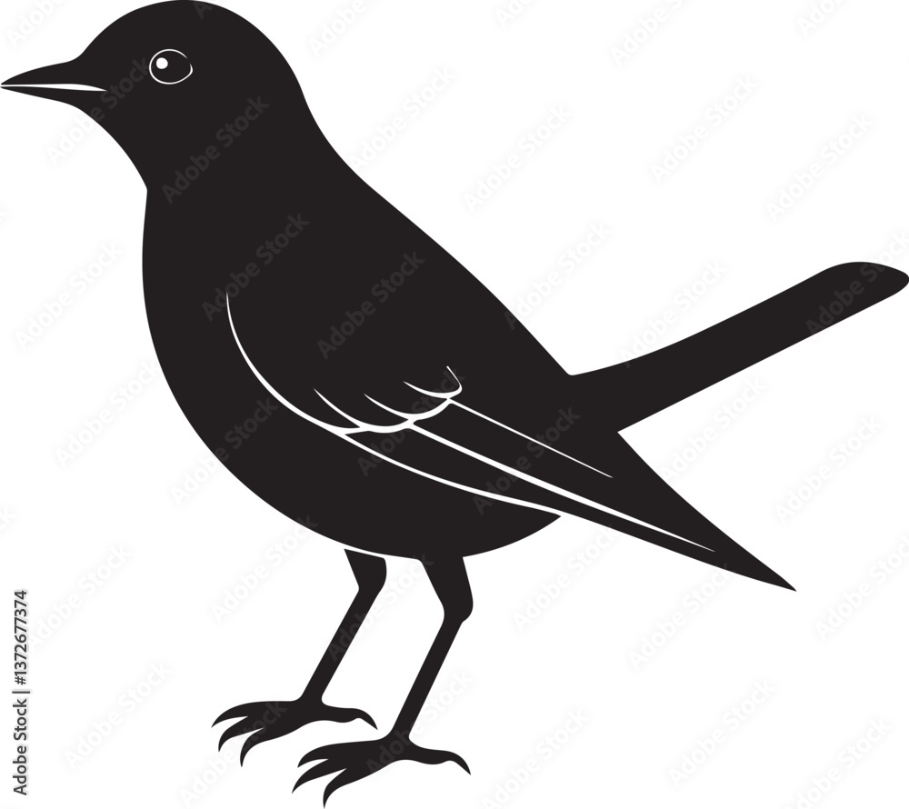 Obraz premium vector illustration of a bird, bird vector isolated on white background full body