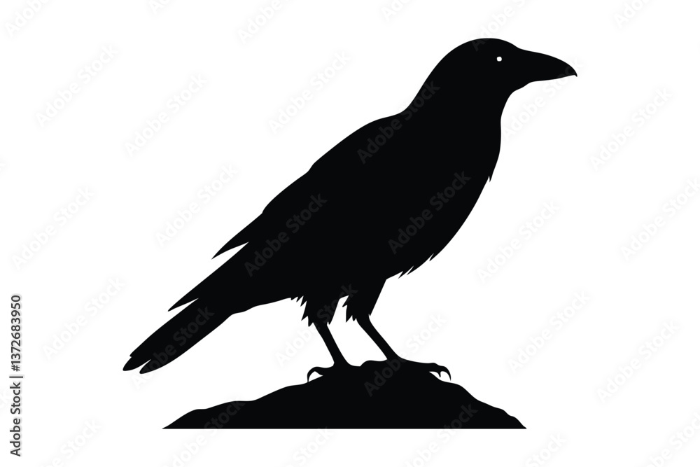 Fototapeta premium Black bird silhouettes, crow and raven, standing on a rock against white