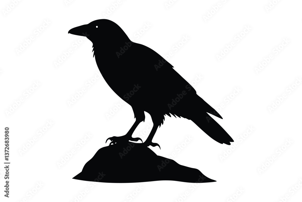 Fototapeta premium Black bird silhouettes, crow and raven, standing on a rock against white