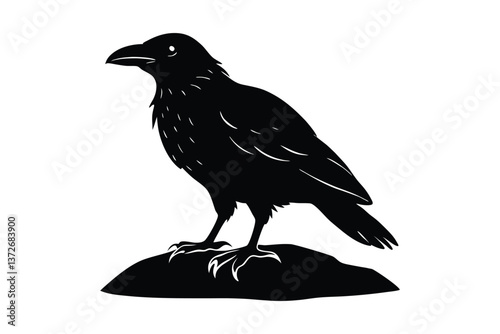 Black bird silhouettes, crow and raven, standing on a rock against white