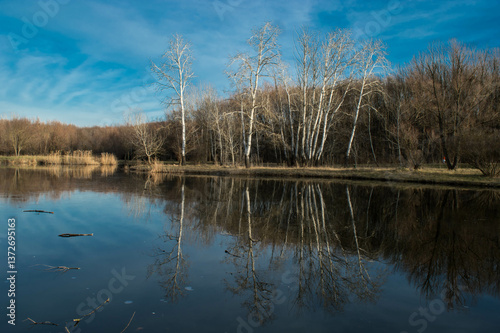 reflection in the water, autumn forest on the lake shore, blue sky