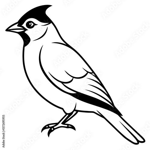 Minimal Cedar Waxwing Vector Illustration on White Background