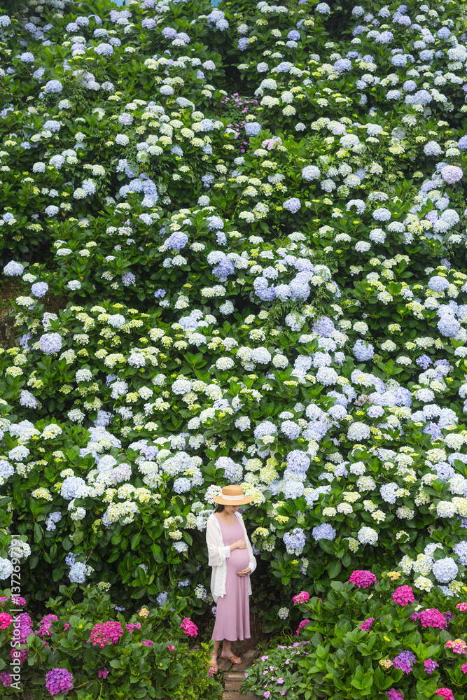 Happy Pregnant Woman Surrounded by Hydrangea Flowers in Nature
