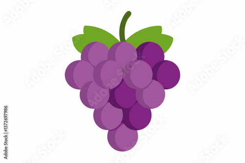 Purple bunch of ripe grapes with leaves on a vine isolated on a white background