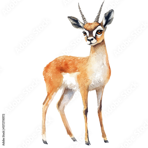A watercolor vector of a klipspringer, isolated on a white background. Klipspringer vector.

