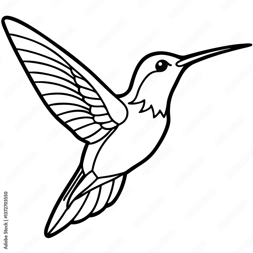 Minimal Ruby-throated Hummingbird Vector Illustration on White Background Minimal Ruby-throated Hummingbird Vector Illustration on White Background