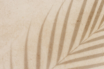 Soft shadows of tropical palm leaves on textured concrete background neutral beige colored. Summer travel, vacation, spa concept. Minimal style photography, summertime aesthetic backdrop copyspace