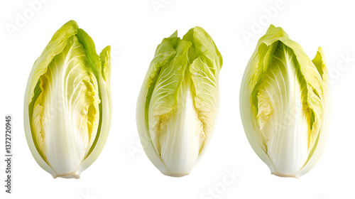 Endive Set in Three Different Poses on Transparent Background for Healthy Recipes, Salad Illustrations, or Vegan Food Concepts photo