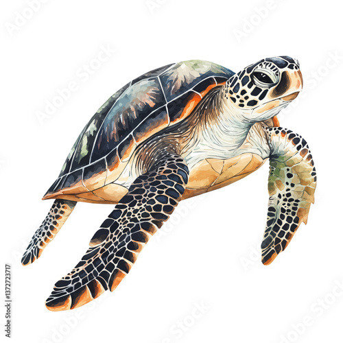 A watercolor vector of a hawksbill sea turtle, isolated on a white background. Hawksbill sea turtle vector.

