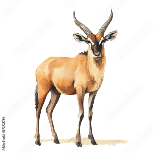 A watercolor vector of a hartebeest, isolated on a white background. Hartebeest vector.

