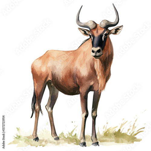 A watercolor vector of a hartebeest, isolated on a white background. Hartebeest vector.

