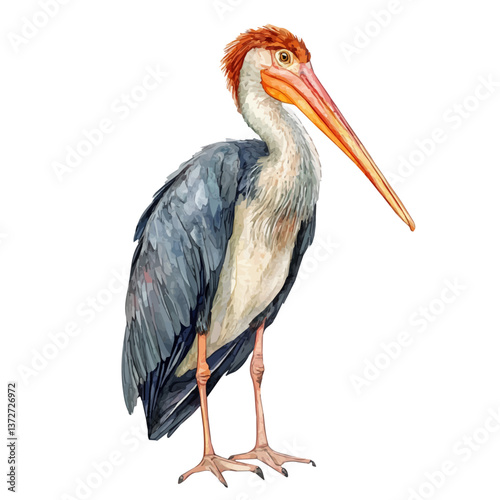 A watercolor vector of a greater adjutant, isolated on a white background. Greater adjutant vector.

