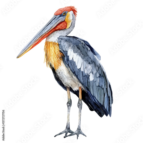 A watercolor vector of a greater adjutant, isolated on a white background. Greater adjutant vector.

