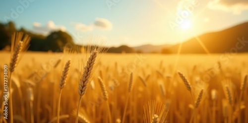 Golden wheat stalks sway gently in autumn breeze, sunlight illuminating field , texture, cereal