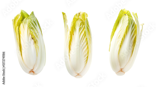Endive Set in Three Different Poses on Transparent Background for Healthy Recipes, Salad Illustrations, or Vegan Food Concepts photo