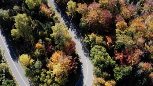 Curved Road Through Autumn Forest